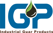Igp - Energy Audit Client