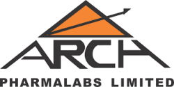 Arch - Safety Audit Client