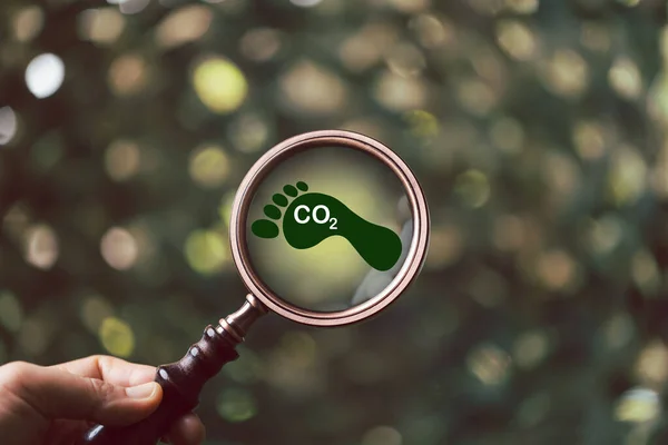 Sustainability Services India - GHG Reporting & Carbon Footprint